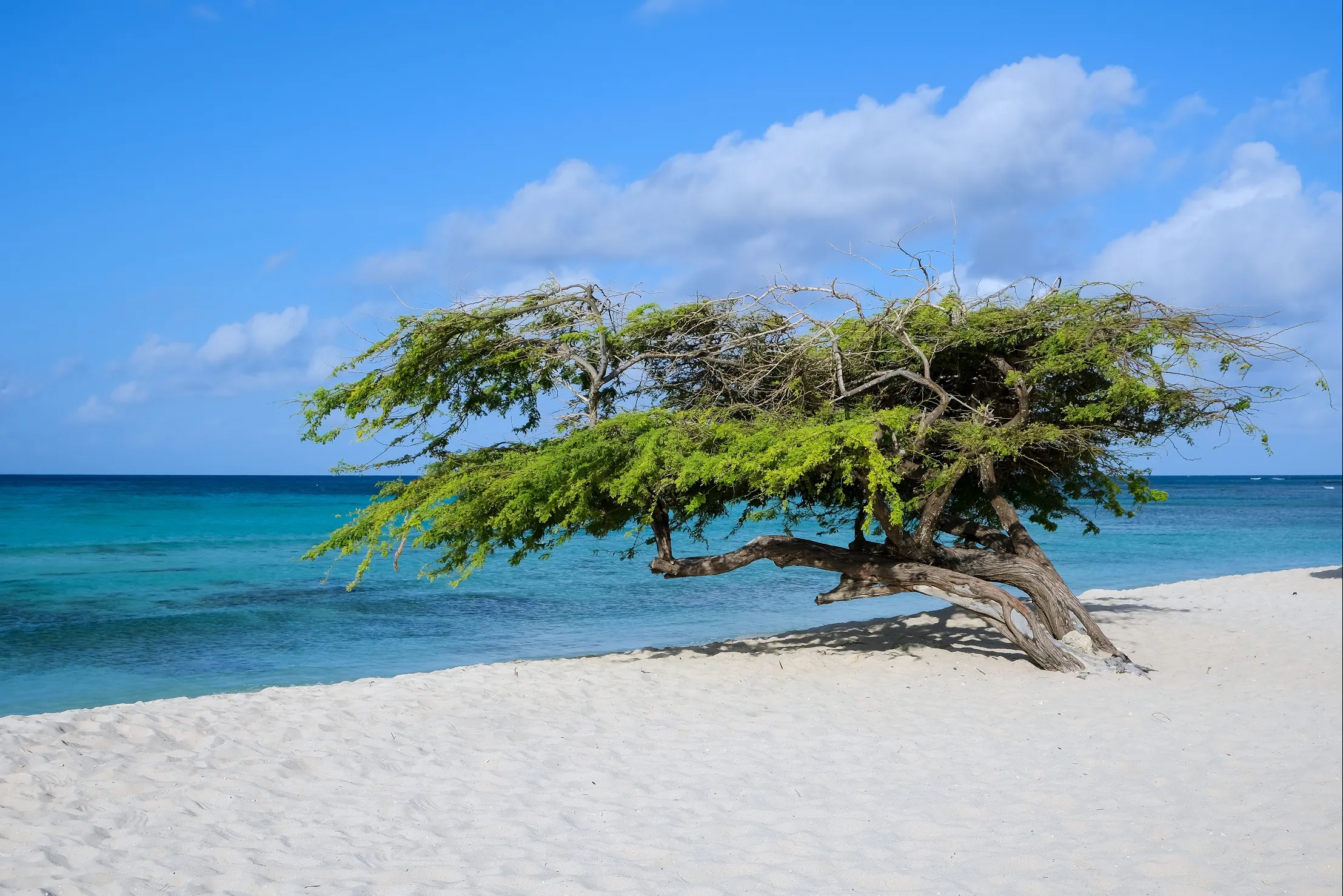 Vue de Aruba — forfaits de données eSIM de voyage