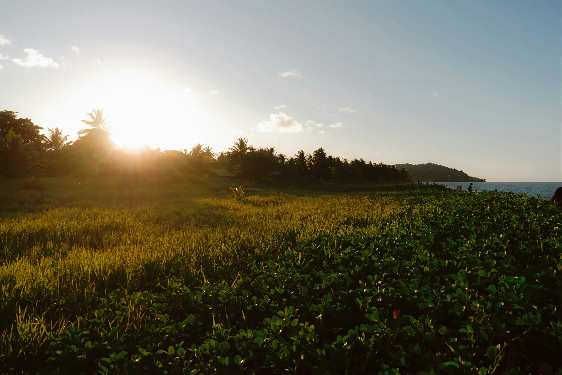 Scenic view of French Guiana — travel eSIM data packages